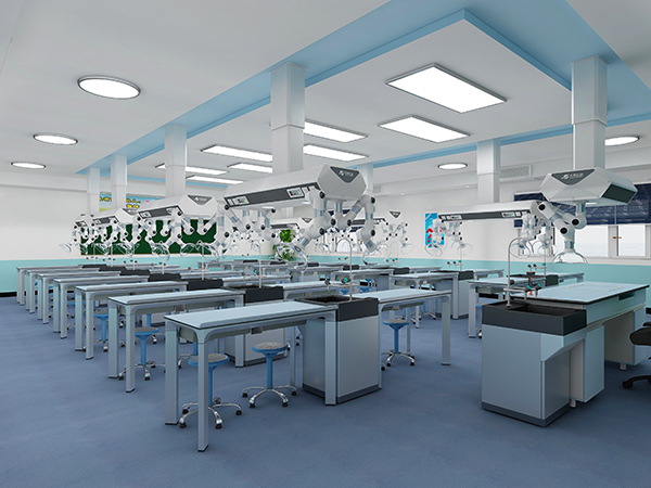 ���W(xu��)��(sh��)�(y��n)��